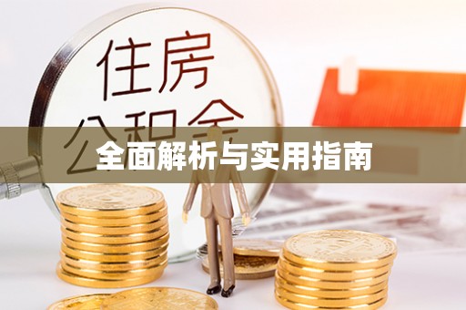 吴中全面解析与实用指南