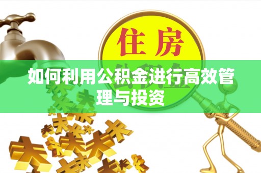 吴中如何利用公积金进行高效管理与投资